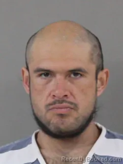 Mugshot of Manuel I Vicuna