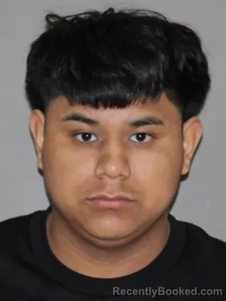 Mugshot of Gabriel Carlos booked in Denton County, Texas on March 11, 2026