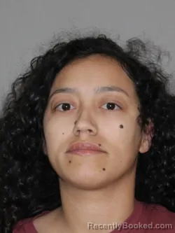 Mugshot of Carmen D Santiago booked in Denton County, Texas on April 7, 2026