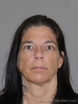 Mugshot of Lesley L Holmes booked in Denton County, Texas on August 14, 2026