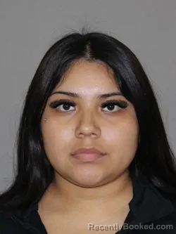 Mugshot of Rosanna Meza Tierrablanca booked in Denton County, Texas on September 28, 2026
