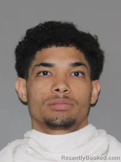 Mugshot of Dominic T Webster