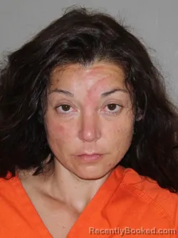 Mugshot of Erica M Mendoza booked in Denton County, Texas on April 7, 2026