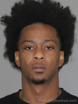 Mugshot of Tamija D Daniel