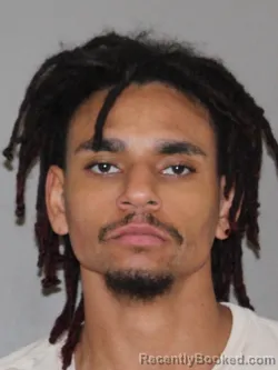 Booking photo from Denton County, Texas