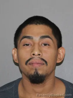 Mugshot of Carlos Alaniz