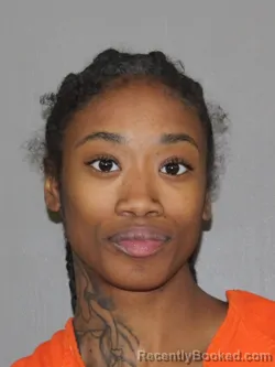 Mugshot of Zoriah N Pinke booked in Denton County, Texas on April 7, 2026