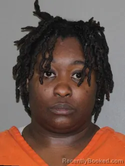 Mugshot of Yasmine A Lee booked in Denton County, Texas on March 13, 2026