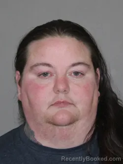 Mugshot of Amanda S Lopez