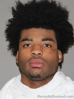 Mugshot of Paris T Baynes booked in Denton County, Texas on April 2, 2026