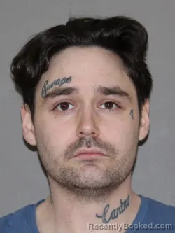 Mugshot of Kevin R Vrenios booked in Denton County, Texas on May 29, 2026
