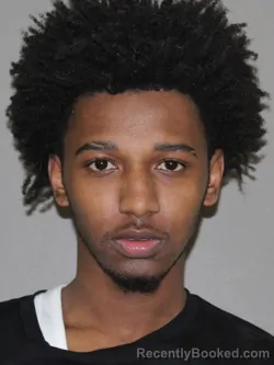 Mugshot of Jamyse J Coleman booked in Denton County, Texas on March 24, 2026