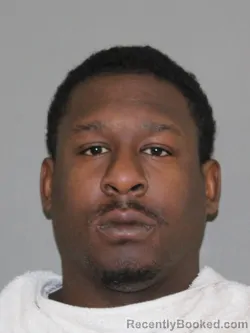 Mugshot of Stacee R James booked in Denton County, Texas on April 11, 2026