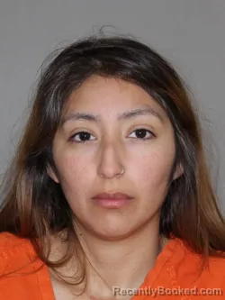 Mugshot of Evelyn M Santillan booked in Denton County, Texas on May 25, 2026