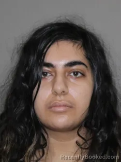 Mugshot of Nika Nikoubin Boroujeni booked in Denton County, Texas on April 6, 2026