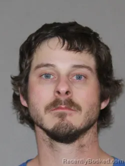 Mugshot of Levi I Tripp