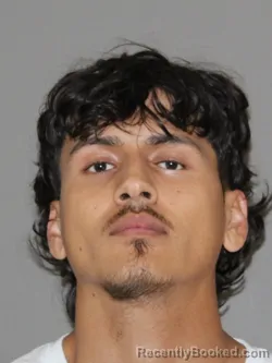 Mugshot of ANTHONY J REYES booked in Denton County, Texas on April 2, 2026