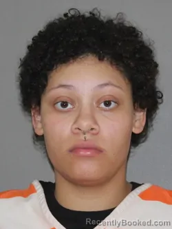 Mugshot of Samaria M Johnson booked in Denton County, Texas on April 3, 2026