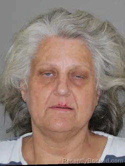 Mugshot of Wendy Sneed booked in Denton County, Texas on March 13, 2026