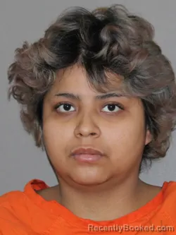 Mugshot of Julissa Munoz