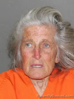 Mugshot of Patricia A Mcalister booked in Denton County, Texas on March 27, 2026