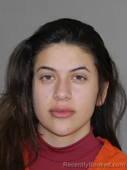 Mugshot of Presley D Morris booked in Denton County, Texas on April 8, 2026