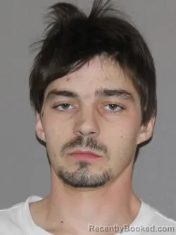 Mugshot of Tanner R Dluge