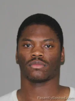 Mugshot of Tyrone L Williams