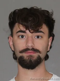 Mugshot of Dominick Salas
