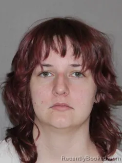 Booking photo from Denton County, Texas