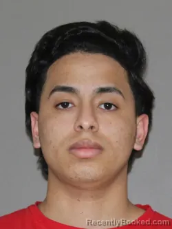 Mugshot of Jose A Pina-Leal