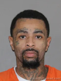 Mugshot of Robert L Wallace