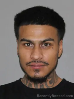 Mugshot of Hugo A Chavarria