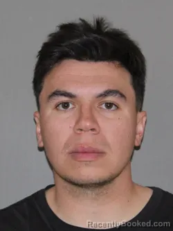 Mugshot of Damian J Aleman