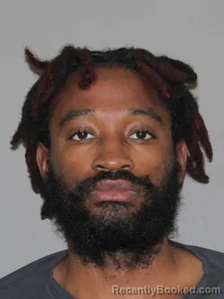 Mugshot of Christopher Collins