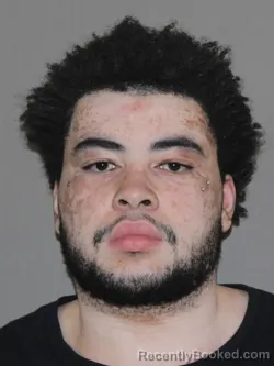 Mugshot of Lawrence T Smith