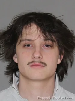 Mugshot of Luke H Green