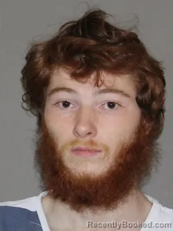 Mugshot of Paul L Martin