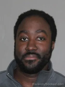 Mugshot of Ifijeh Igbavboa-James