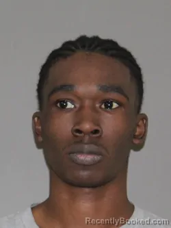 Mugshot of Shawn B Arrington