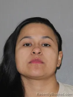 Mugshot of Corina A Castillo