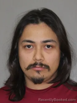 Mugshot of Mitchell A Gomez