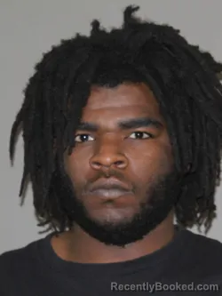 Mugshot of Jamarea J Robinson