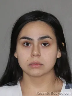 Mugshot of Colby G Vasquez