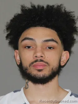 Mugshot of Brian M Brandon