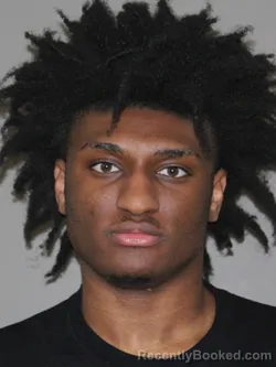 Mugshot of Adrain Evans