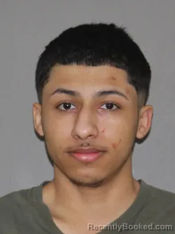 Mugshot of Carlos J Castillo-Lazo