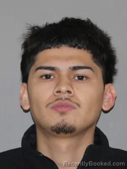Mugshot of Ricardo Guzman Castro