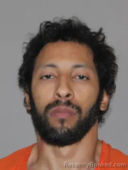 Mugshot of Brian Guillory