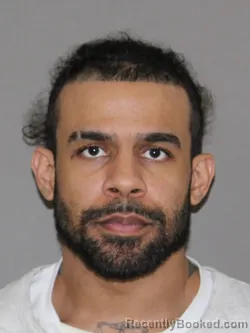 Mugshot of Magnum Gibson booked in Denton County, Texas on August 13, 2026